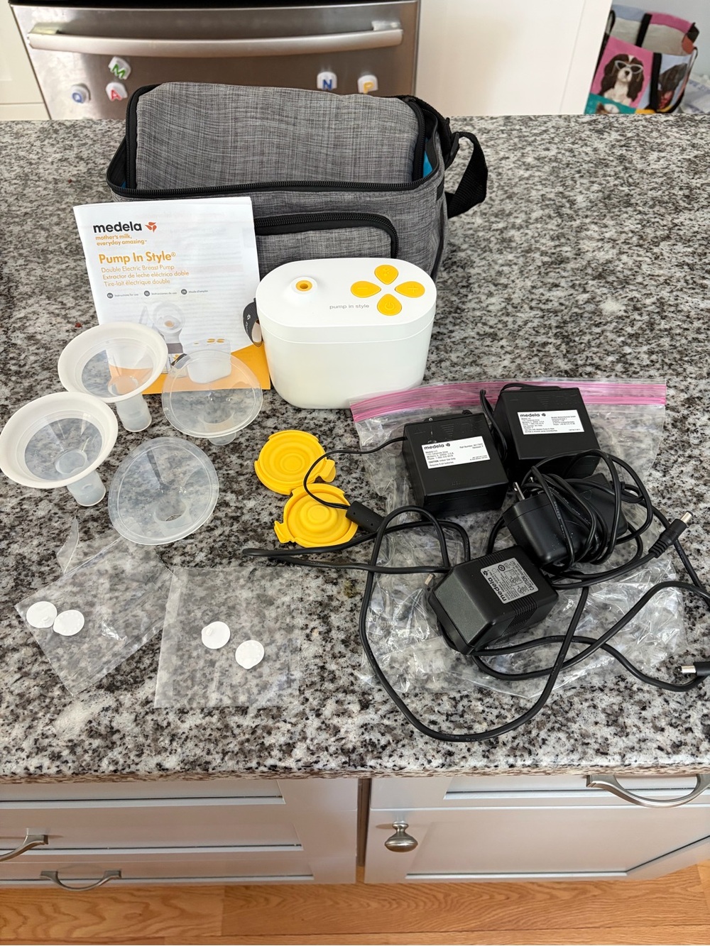 Medela Pump In Style